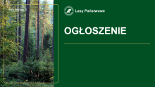 Zaproszenie do składania ofert na zwarcie umowy na sprzedaż tusz w sezonie łowieckim 2025/2026