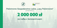 Lasy Państwowe przeznaczą dwa miliony złotych na walkę z epidemią