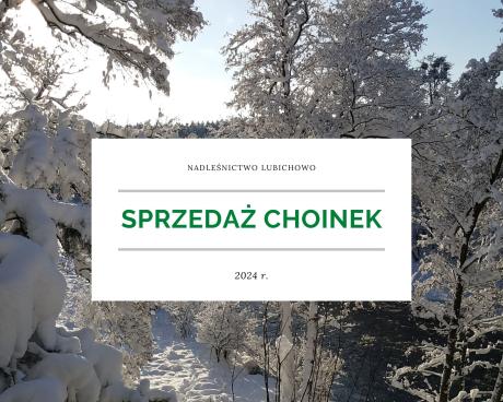 Sprzedaż choinek